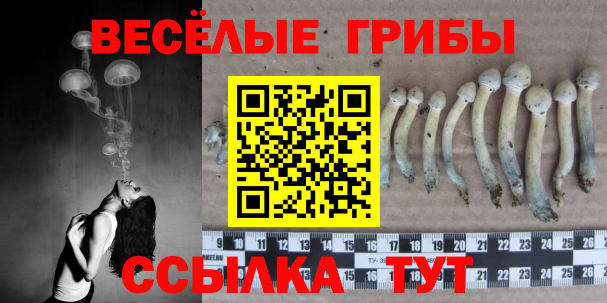 Псилоцибиновые грибы MAGIC MUSHROOMS  Вход с VPN  Волоколамск 