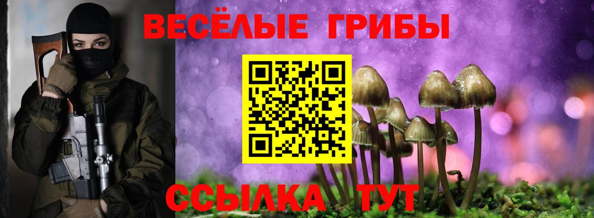 Псилоцибиновые грибы Psilocybine cubensis Волоколамск